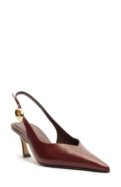 Arezzo Women's Farrah Low Stiletto Pumps In Burgundy