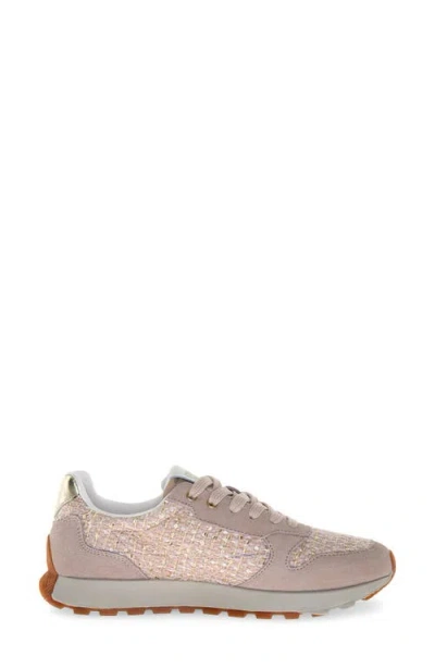 Candice Cooper Plume 5 Sneaker In Neutral