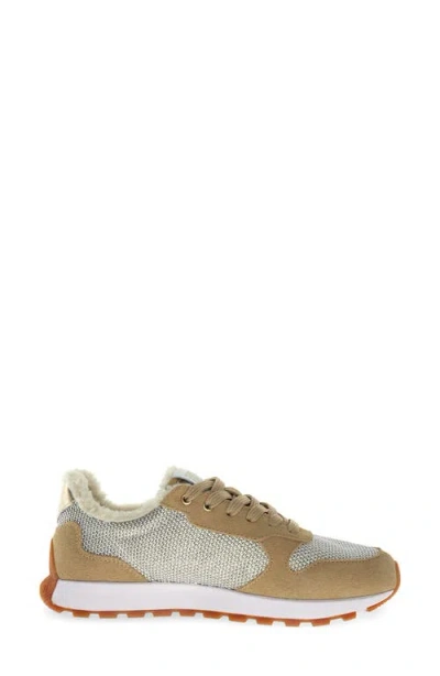 Candice Cooper Plume 5 Sneaker In Brown