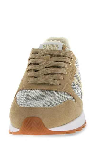 Candice Cooper Plume 5 Sneaker In Brown