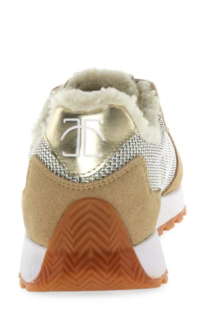 Candice Cooper Plume 5 Sneaker In Brown
