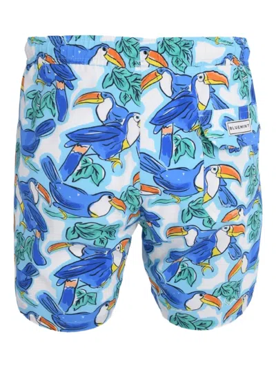 Bluemint Arthus Toucan-print Swim Shorts In Blue