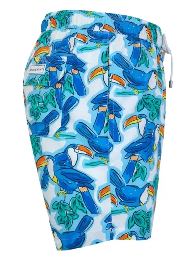 Bluemint Arthus Toucan-print Swim Shorts In Blue