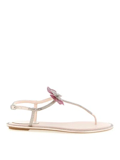 René Caovilla Rene Caovilla Fairy Pink Flat Sandal 10 In Neutral