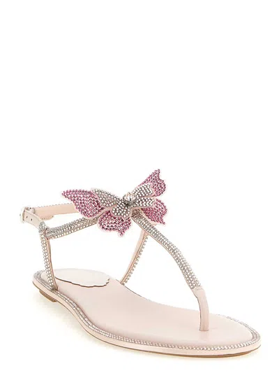 René Caovilla Rene Caovilla Fairy Pink Flat Sandal 10 In Neutral
