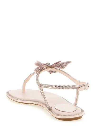 René Caovilla Rene Caovilla Fairy Pink Flat Sandal 10 In Neutral
