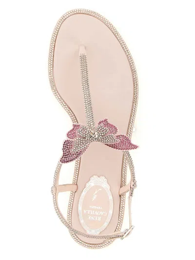 René Caovilla Rene Caovilla Fairy Pink Flat Sandal 10 In Neutral
