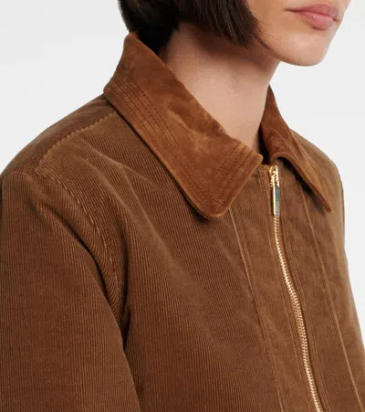 Thom Browne Cropped Flight Jacket Corduroy Texture In Brown