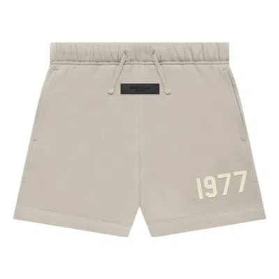 Essentials (gs) Fear Of God  Fw22  Sweatshort Smoke In Multi