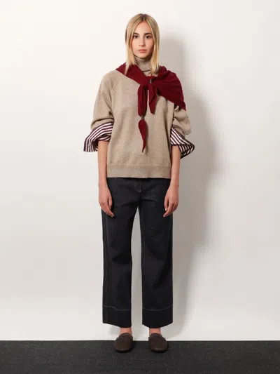 Brunello Cucinelli Women Turtleneck Sweater With Shiny Shirt Details In Brown