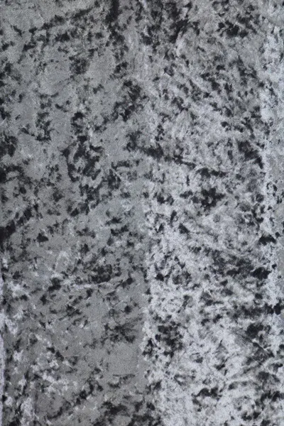 Forte Forte Stretchy Rollneck In Shimmering Velvet In Gray