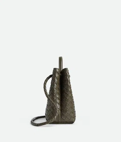 Bottega Veneta Small Andiamo In Green
