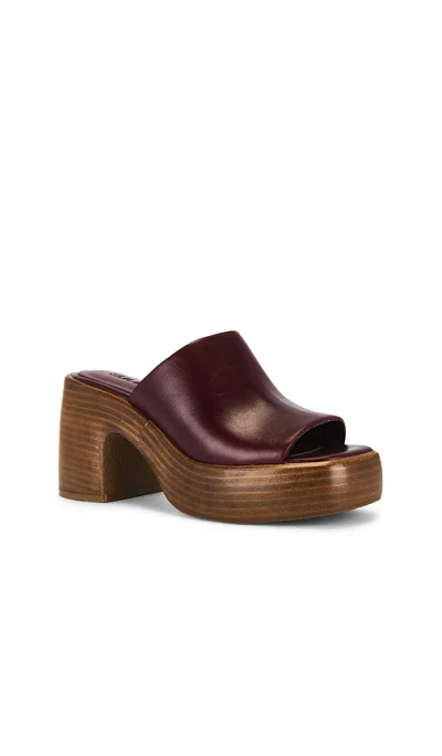 Steve Madden Shanton Platform Slide Sandal In Burgundy