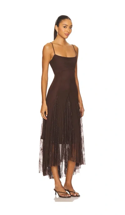 Steve Madden Vita Lace Detail Godet Pleat Dress In Brown