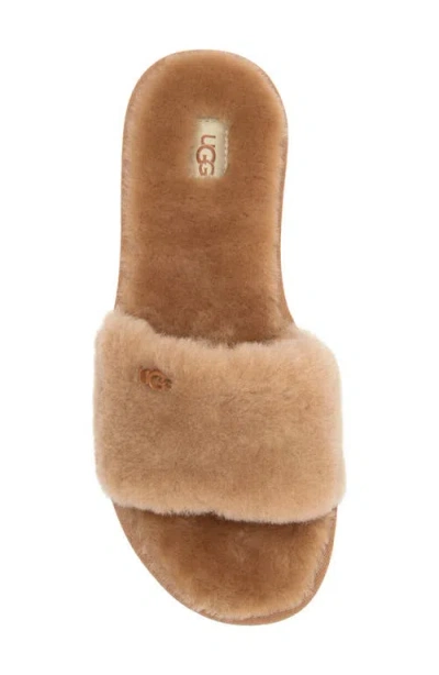 Ugg Cozette Slipper In Brown