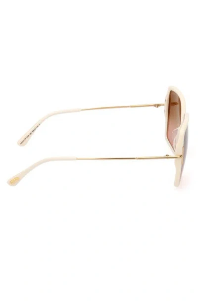 Tom Ford Joanna Amber Acetate Butterfly Sunglasses In Brown