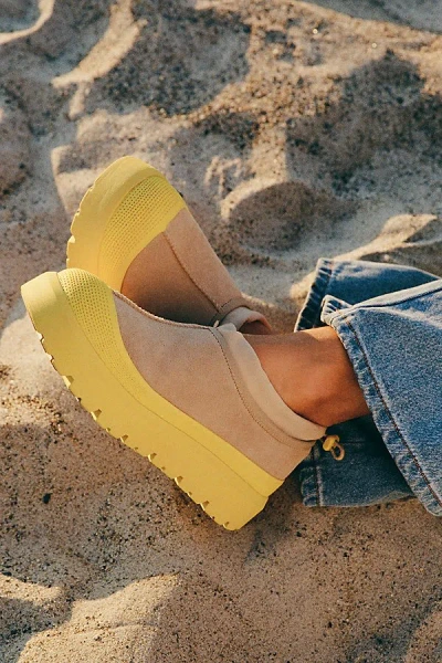 Ugg Modern Sneakers With Contrast Sole And Pull Tab In Yellow