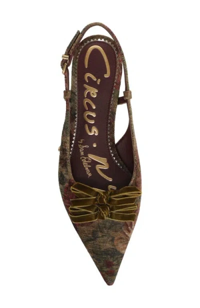 Circus Ny By Sam Edelman Women's Delanie Pointed-toe Slingback Flats In Multi