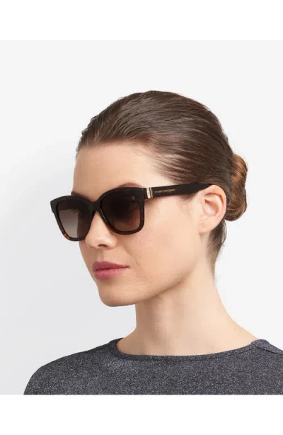 Stuart Weitzman 53mm Gradient Square Sunglasses In Brown