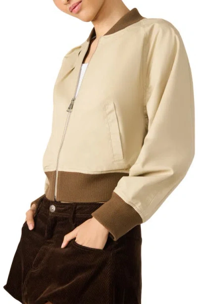 Steve Madden Women's Bray Collar Jacket In Neutral