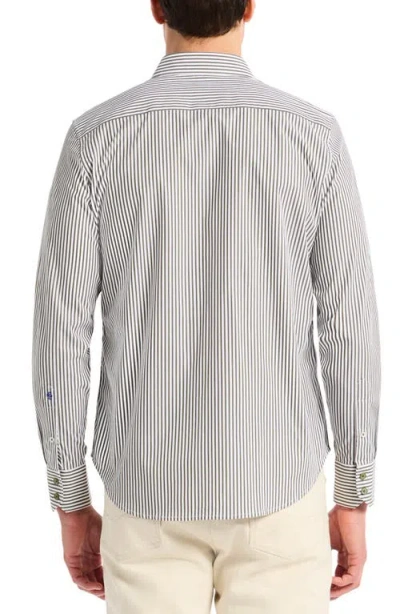Robert Graham Greenwich Pinstripe Stretch Cotton Button-up Shirt In Gray