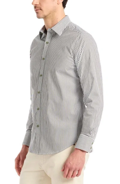 Robert Graham Greenwich Pinstripe Stretch Cotton Button-up Shirt In Gray