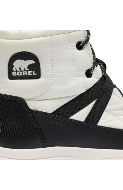 Sorel Whitney Iii Waterproof Mid Boot In Multi