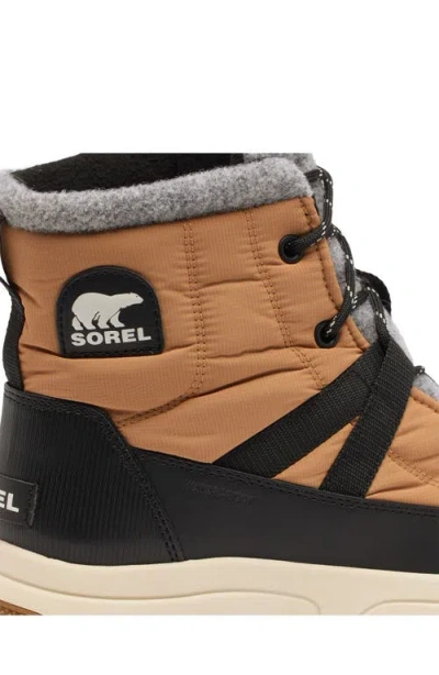 Sorel Whitney Ii Waterproof Snow Boot In Multi