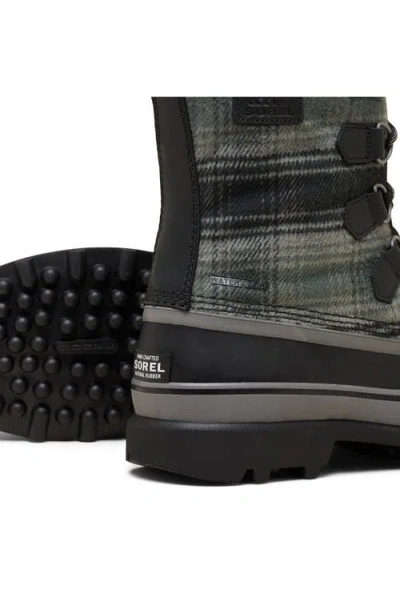 Sorel Caribou™ Wp Boot In Multi