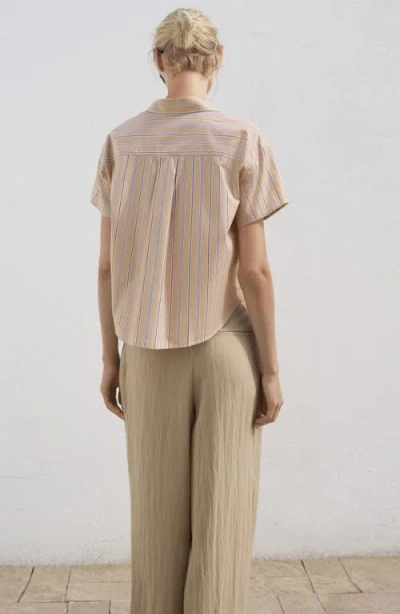 Mango Women's Short Sleeve Striped Shirt In Brown