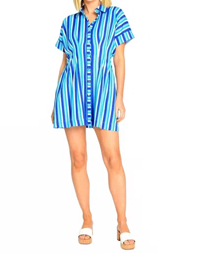 Elizabeth James The Label Haynes Mini Dress In French Blue Stripe In Blue