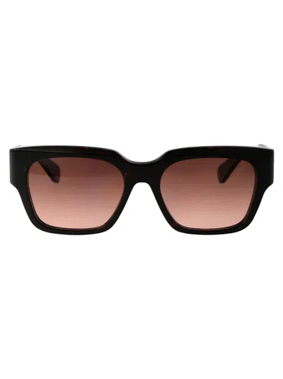 Chloé Havana-havana-copper Acetate Sunglasses In Black