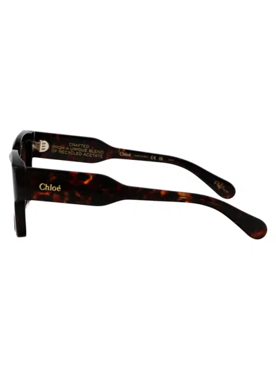 Chloé Havana-havana-copper Acetate Sunglasses In Black