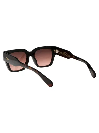 Chloé Havana-havana-copper Acetate Sunglasses In Black