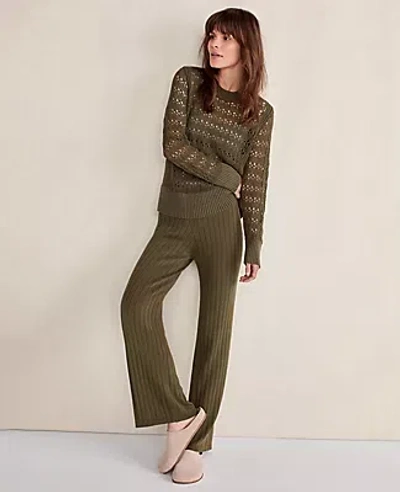 Ann Taylor Haven Well Within Organic Cotton Linen Open Stitch Crewneck Sweater In Green