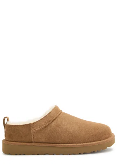 Ugg Classic Micro Suede Ankle Boots In Brown