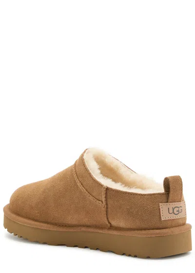 Ugg Classic Micro Suede Ankle Boots In Brown