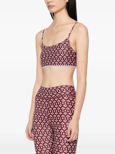 FIREFLY HUTTON 运动文胸