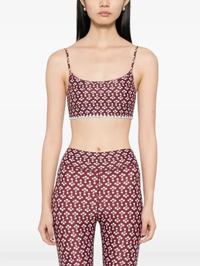 FIREFLY HUTTON 运动文胸