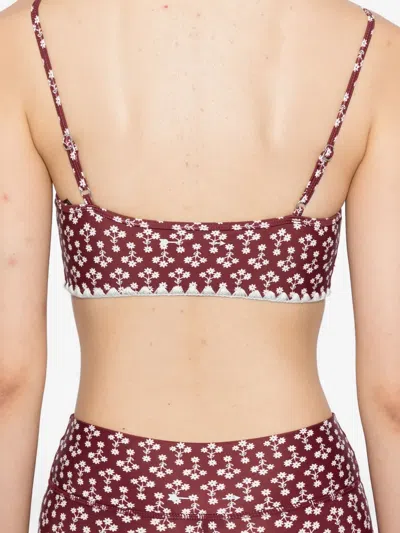 FIREFLY HUTTON 运动文胸