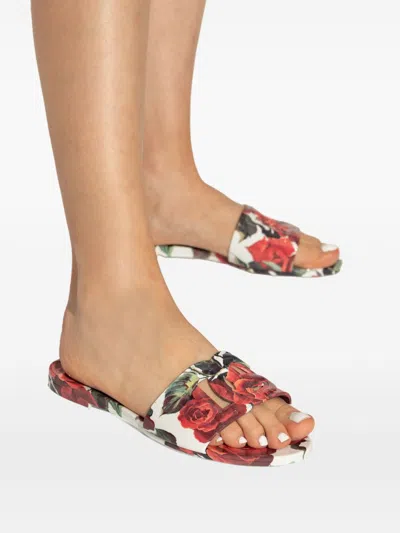 Dolce & Gabbana Multicolor Floral Sandals In Multi