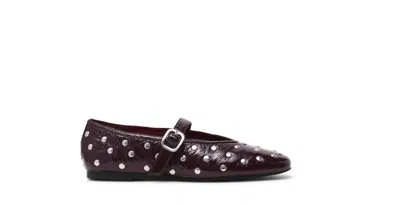Steve Madden Flat Shoes In Brown