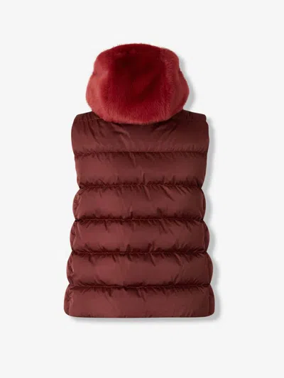 Herno Padded Vest Hood In Burgundy