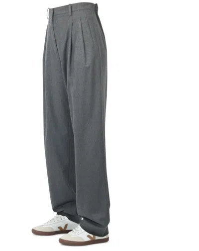 Alysi Pants In Gray