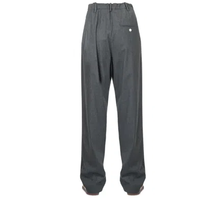 Alysi Pants In Gray