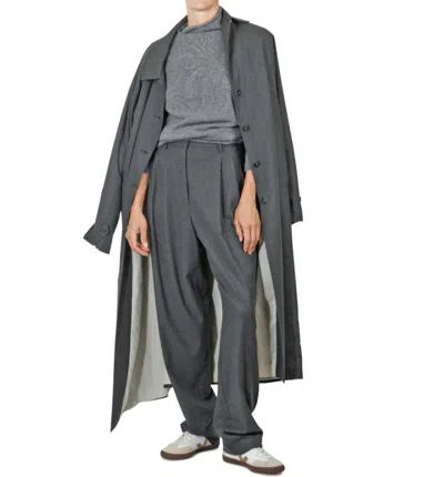 Alysi Pants In Gray