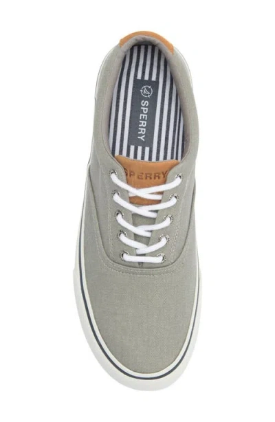 Sperry Striper Ii Cvo Sw Mens Canvas Lace Up Casual Sneakers In Gray