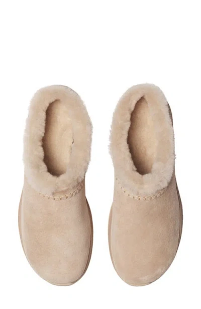 Merrell Encore Ice 5 Water Resistant Genuine Shearling Slip-on Shoe In Brown