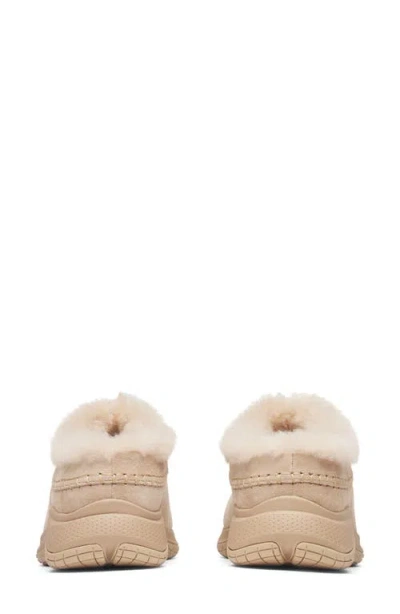 Merrell Encore Ice 5 Water Resistant Genuine Shearling Slip-on Shoe In Brown