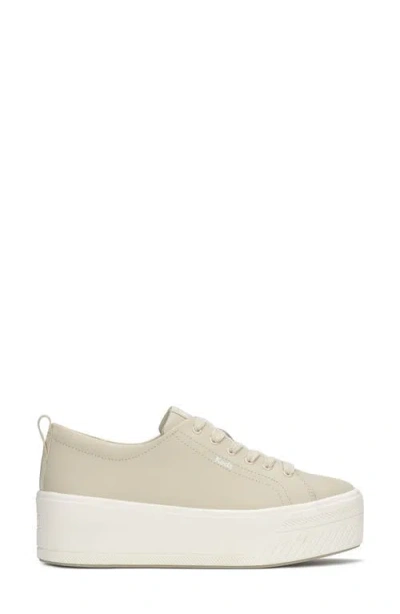 Keds Women's Leather Sneakers In Brown
